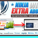 Ninja Widget Extra Add-on
