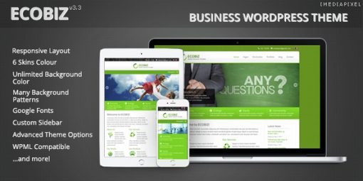 ECOBIZ -  Business WordPress Theme