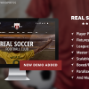 Real Soccer - Sport Clubs WordPress