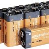 Amazon Basics 8 Pack 9 Volt Performance All-Purpose Alkaline Batteries, 5-Year Shelf Life, Easy to Open Value Pack