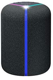 Sony XB402M Smart Speaker with Powerful Sound, EXTRA BASS, Bluetooth, Wi-Fi and Alexa (Amazon Exclusive)