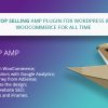 WP AMP — Accelerated Mobile Pages for WordPress and WooCommerce