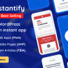 Instantify - PWA & Google AMP & Facebook IA for WordPress