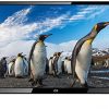 32” LED HDTV by Continu.us | CT-3270 HDTV 720p 60Hz LED, Television/Lightweight and Slim Design, HDMI/USB/VGA Inputs with Full Function Remote