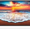 VIZIO D-Series™ 24” Class (23.80" Diag.) Smart TV