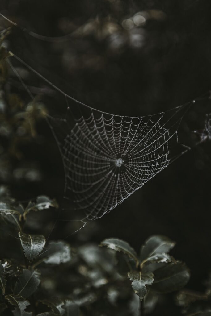 The Dark Web Explained: What It Is, How It Works, and Why It Matters