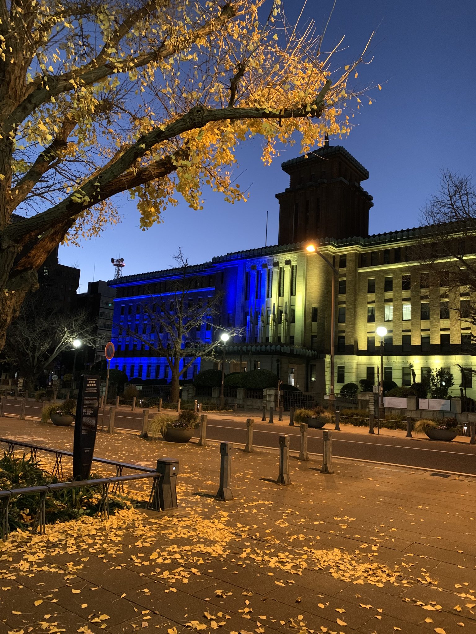 Is Computer Engineering Hard? A Clear Look at the Journey