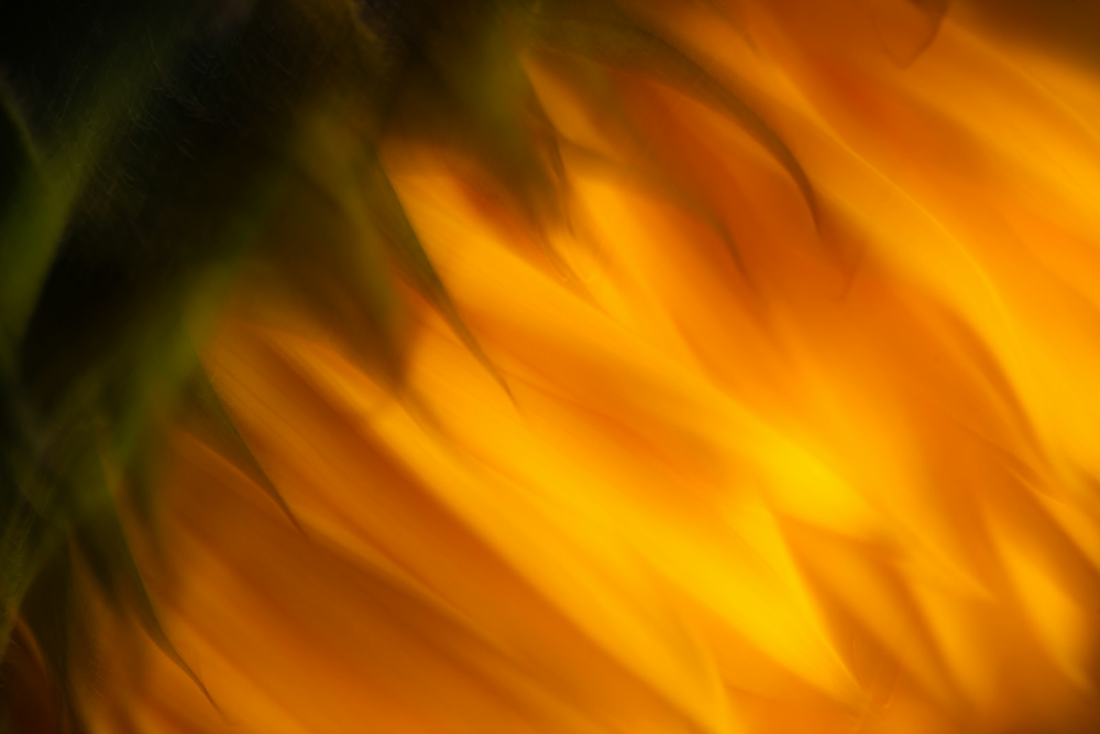 Three Factors to Consider When Deciding on a Website Builder for Small Business