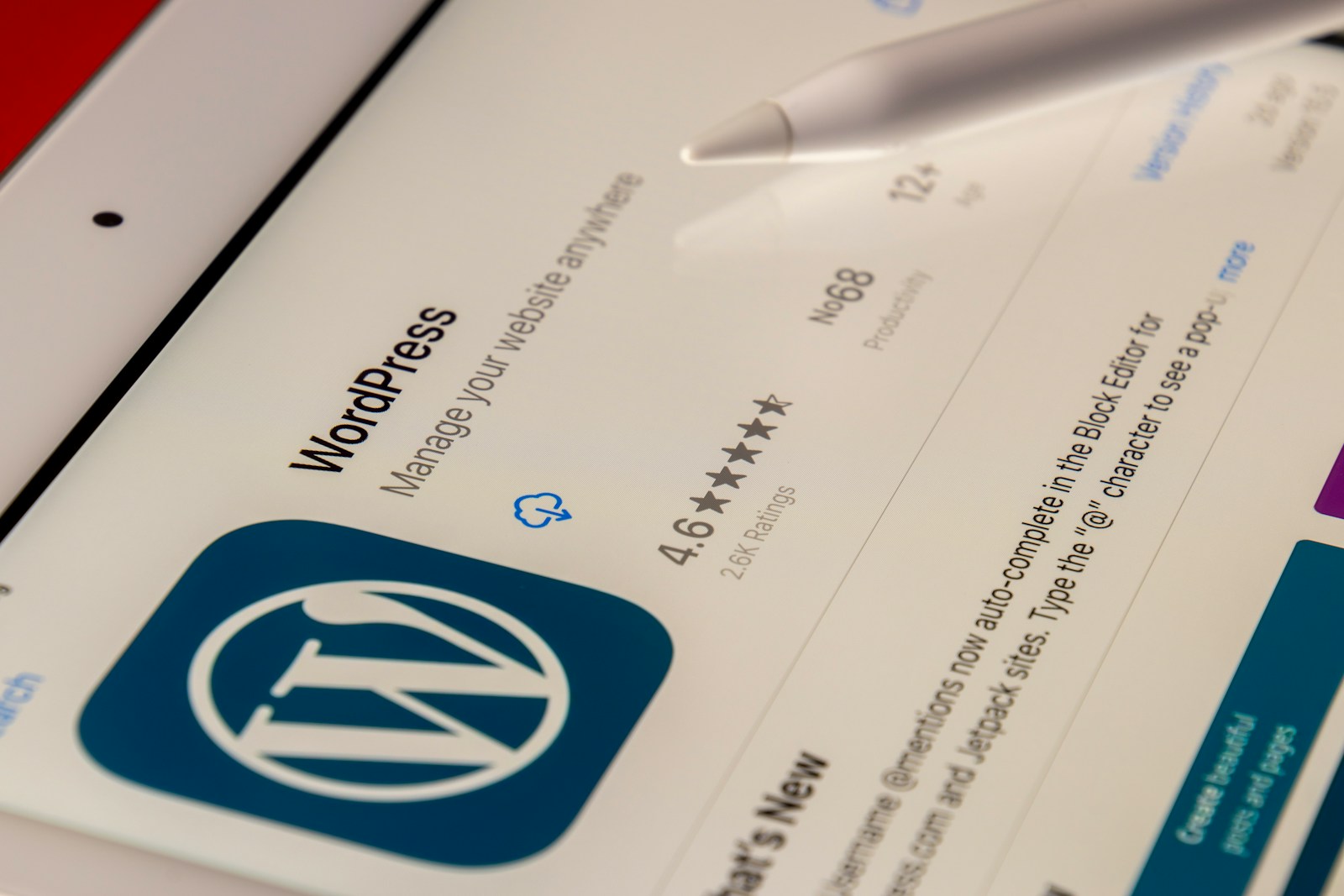 How to Install a ThemeForest Theme on WordPress